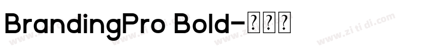 BrandingPro Bold字体转换